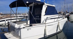 STARFISHER 670