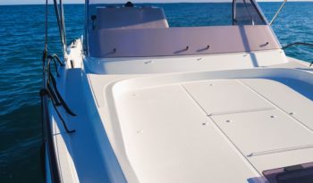 BENETEAU FLYER 9 SD lleno