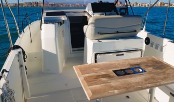 BENETEAU FLYER 9 SD lleno