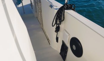 BENETEAU FLYER 9 SD lleno