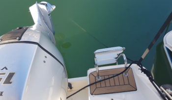 EGO 600 SUNDEK lleno
