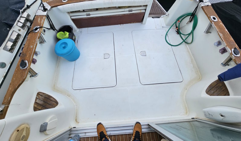 STARFISHER ST 840 lleno