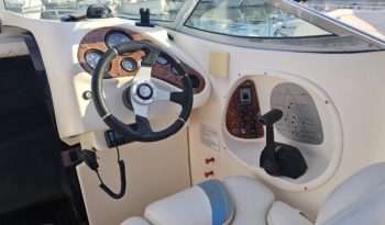 LEMA GEN MINI lleno