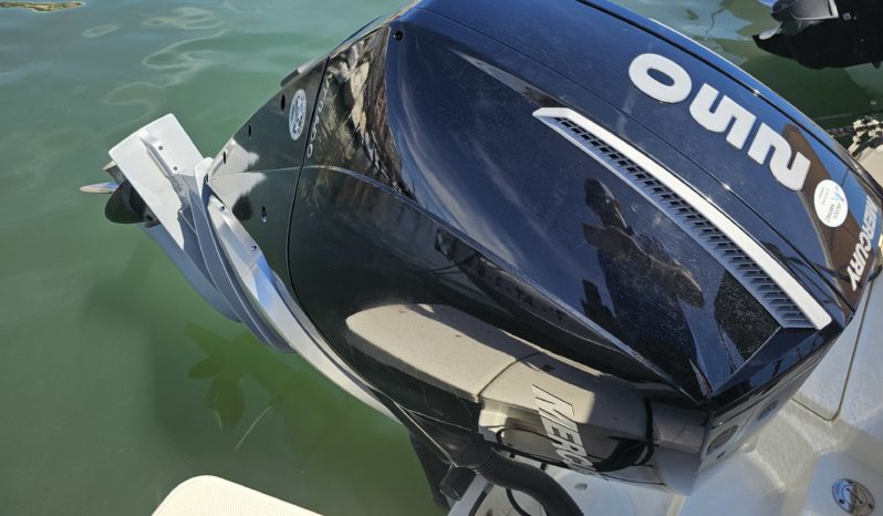 QUICKSILVER ACTIV 755 CRUISER lleno