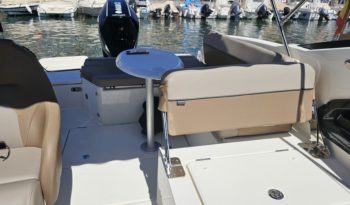 QUICKSILVER ACTIV 755 CRUISER lleno