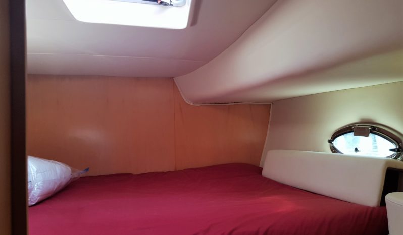 CATAMARAN A MOTOR – EXCITECAT 10.10 lleno