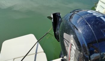 QUICKSILVER ACTIV 605 OPEN lleno