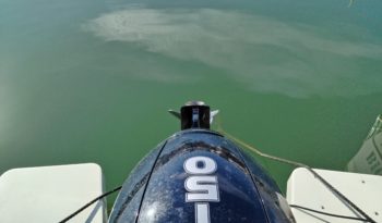 QUICKSILVER ACTIV 605 OPEN lleno