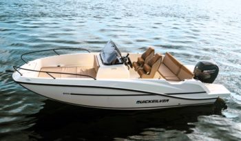 lancha open marca quicksilver con motor fueraborda