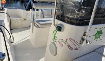 PLAYAMAR 520 OPEN lleno