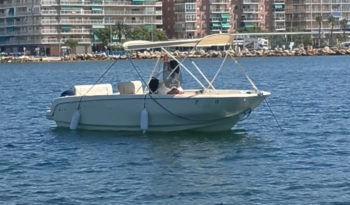 Invictus 190 FX  | Yamaha F115