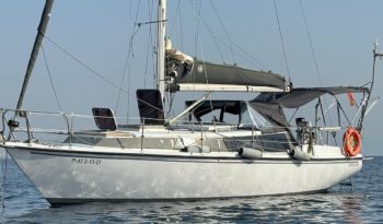 Tornado 31 en venta | Refit completo